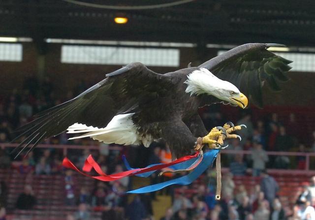 The Eagle in flight